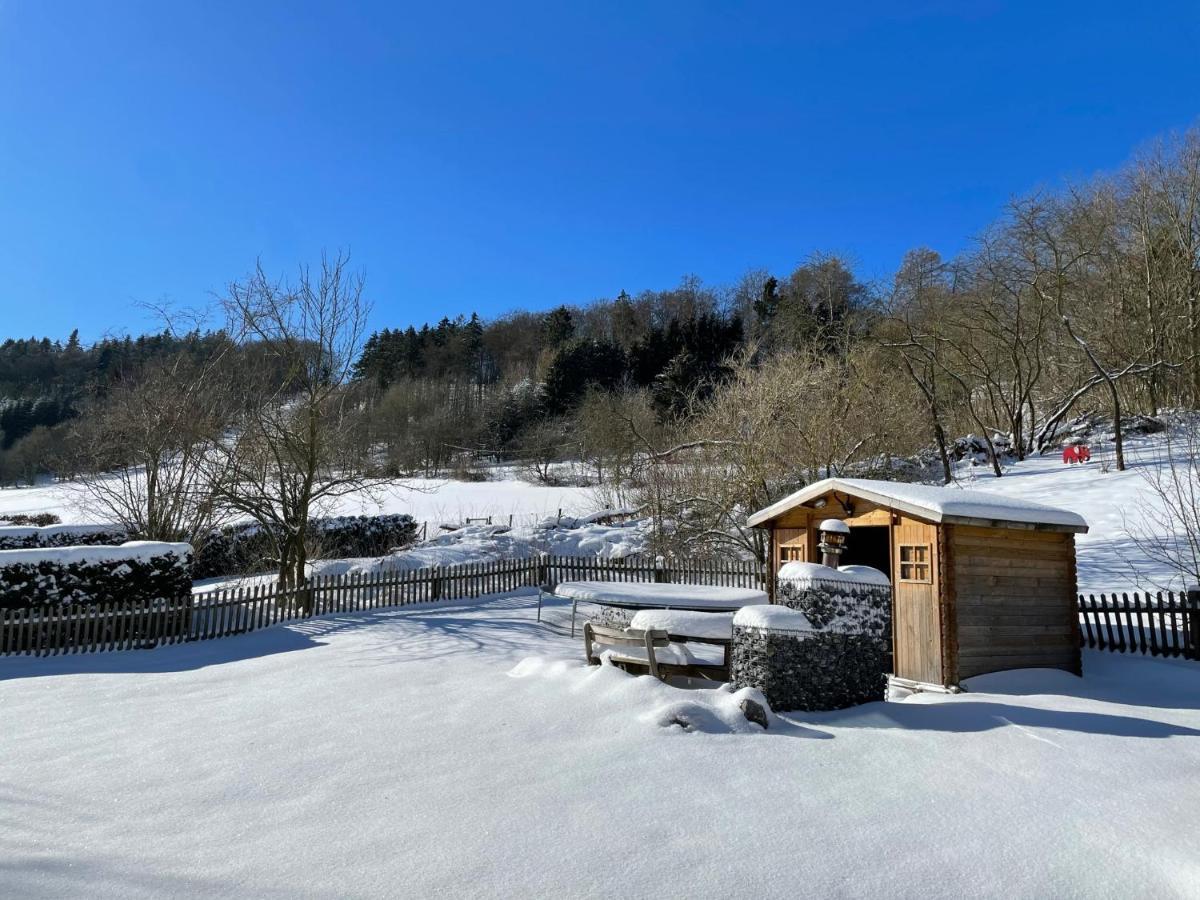 Ferienwohnung Up Willingen-Schwalefeld Willingen  Zewnętrze zdjęcie