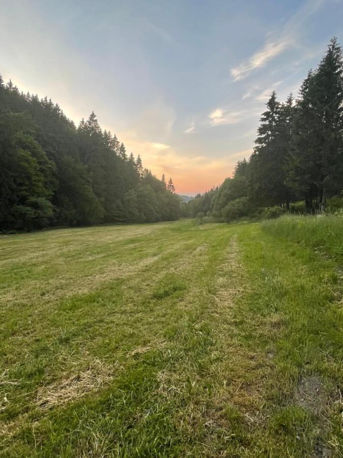 Ferienwohnung Up Willingen-Schwalefeld Willingen  Zewnętrze zdjęcie
