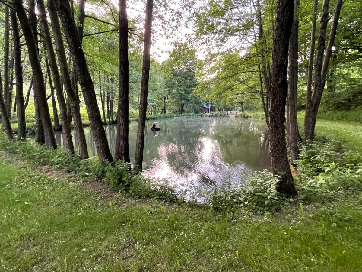 Ferienwohnung Up Willingen-Schwalefeld Willingen  Zewnętrze zdjęcie