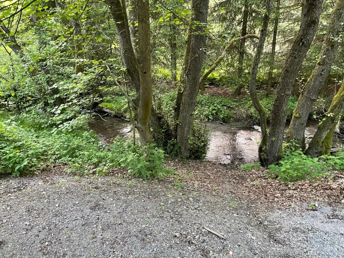 Ferienwohnung Up Willingen-Schwalefeld Willingen  Zewnętrze zdjęcie
