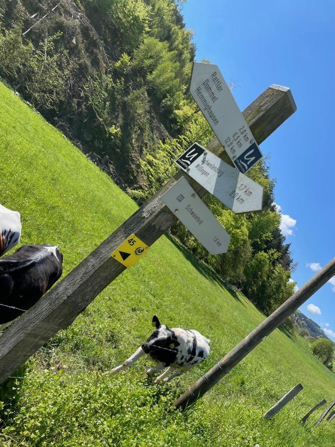 Ferienwohnung Up Willingen-Schwalefeld Willingen  Zewnętrze zdjęcie