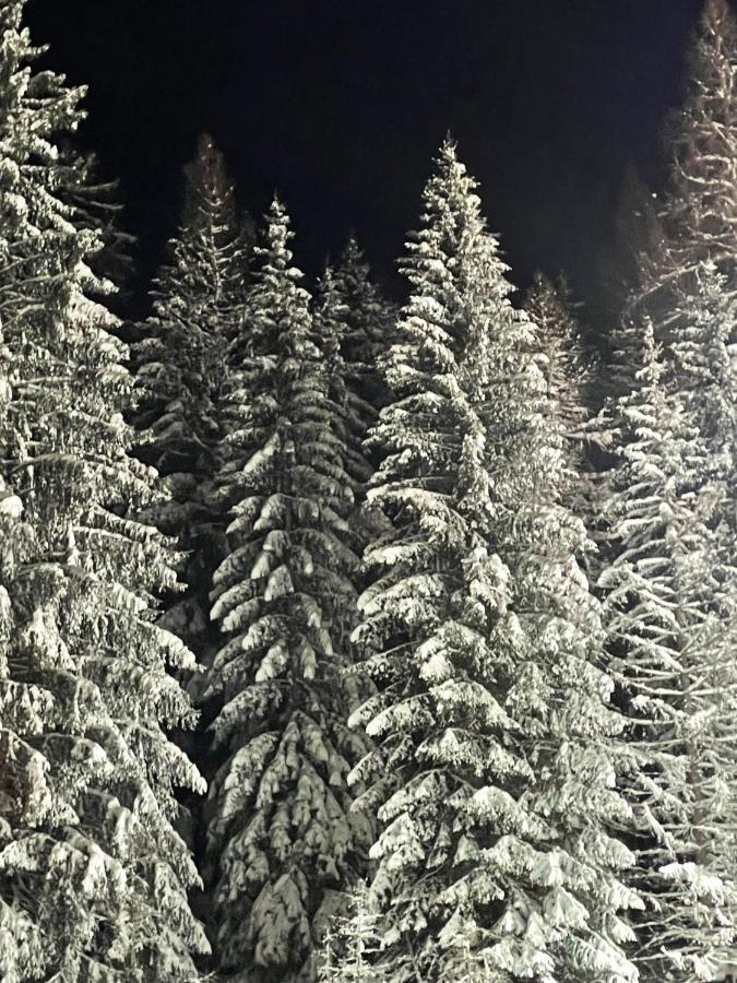 Ferienwohnung Up Willingen-Schwalefeld Willingen  Zewnętrze zdjęcie