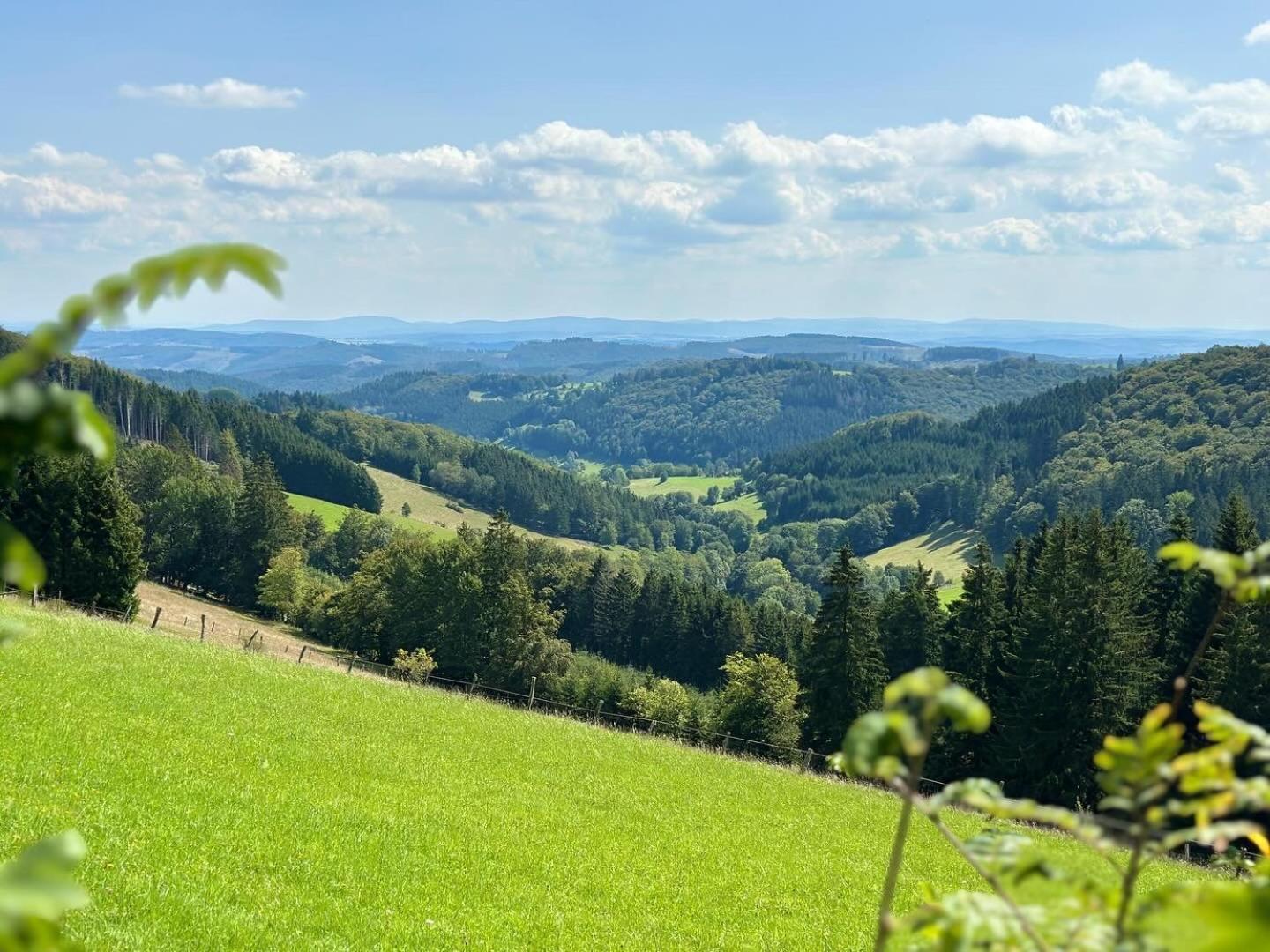 Ferienwohnung Up Willingen-Schwalefeld Willingen  Zewnętrze zdjęcie